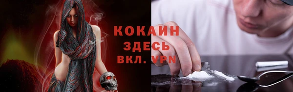 прущие грибы Осинники