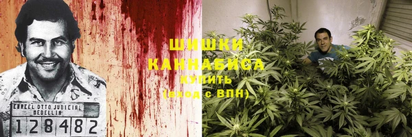ПСИЛОЦИБИНОВЫЕ ГРИБЫ Арсеньев