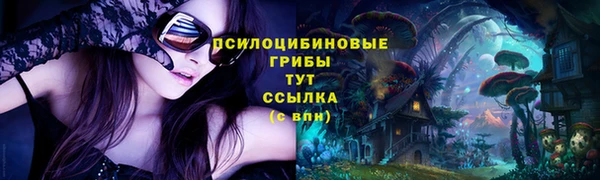 не бодяженный Аркадак