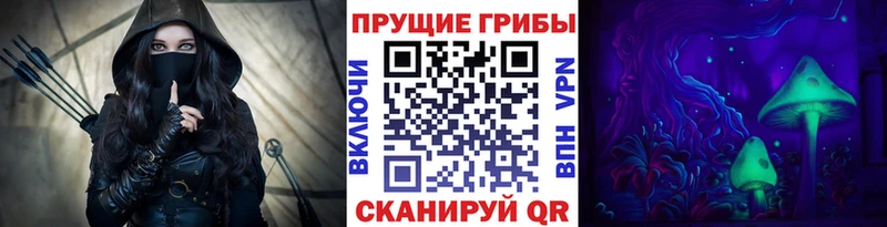 OMG зеркало  наркотики  Бирск  Псилоцибиновые грибы мицелий 